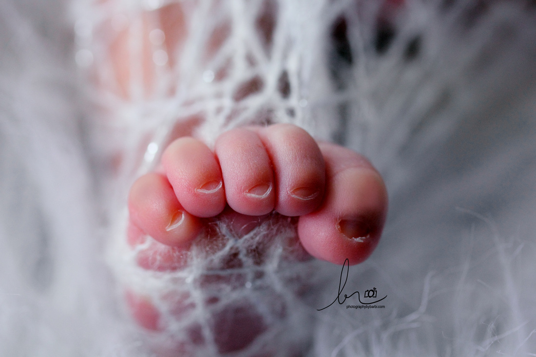 Newborn photography capturing baby details of 5 little toes