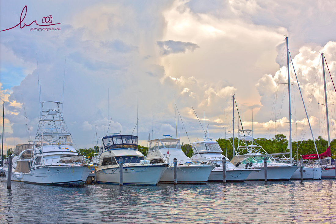 A day at the marina viewing beautiful boats - Photography by Barbi Rodriguez - photographybybarbi.com